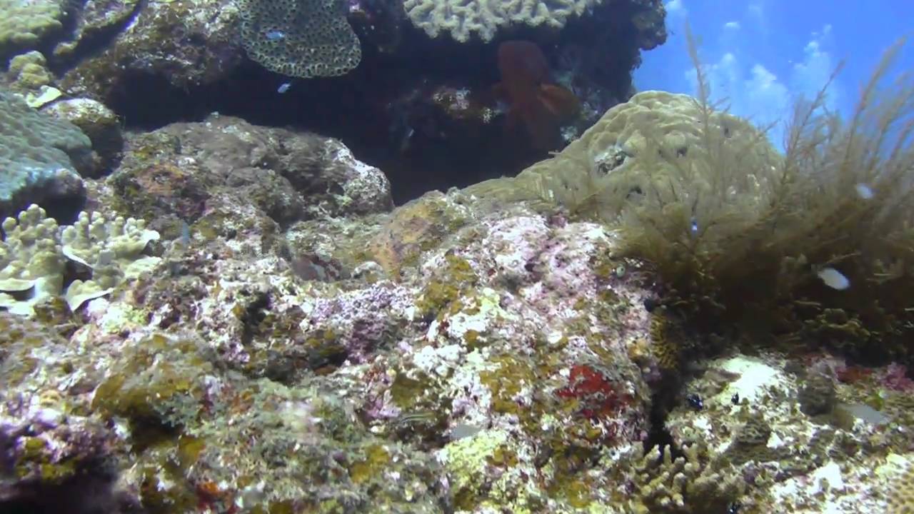 久場島