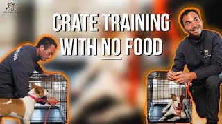 Crate Training with NO Food