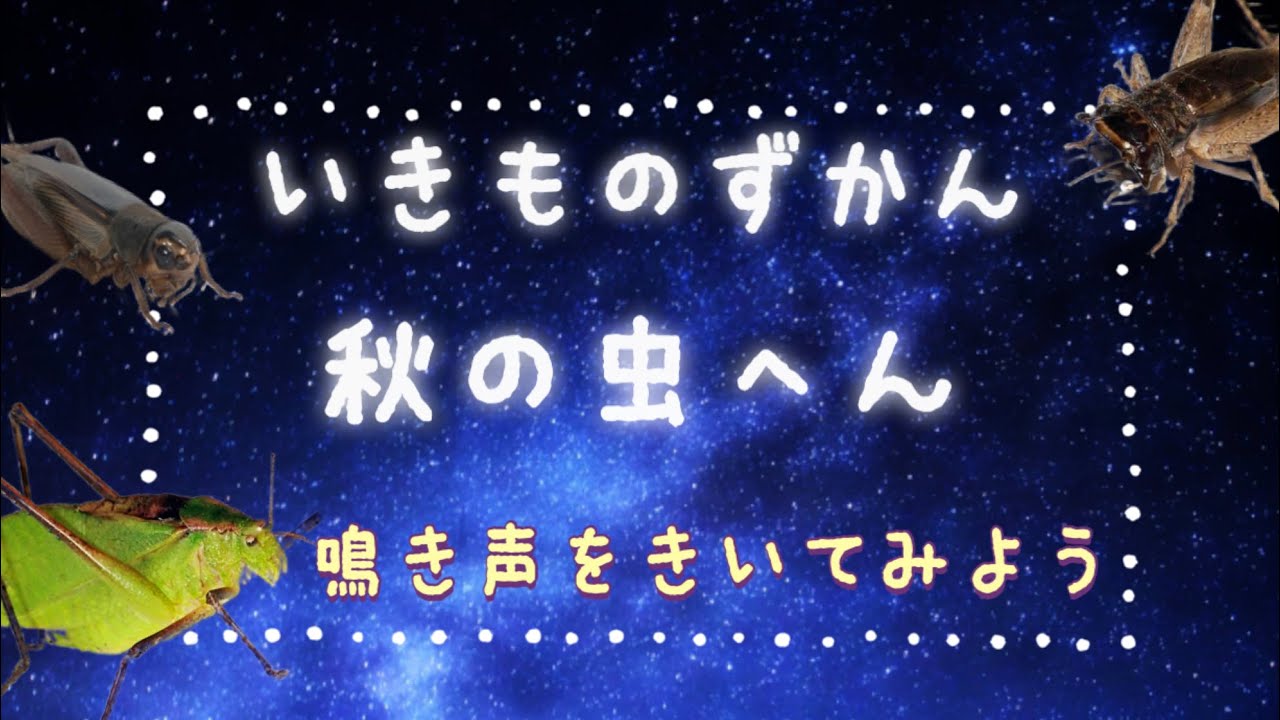 P2P】 PCゲーム総合スレ Vol.1288 【Warez】