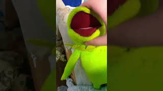 Kermit Sings