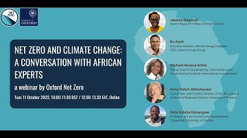 Net Zero and Climate Change: A Conversation with African Experts - a webinar by Oxford Net Zero