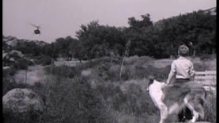 Lassie - Episode #223 - "The Rescue"- Season 7 Ep. 4 - 10/02/60