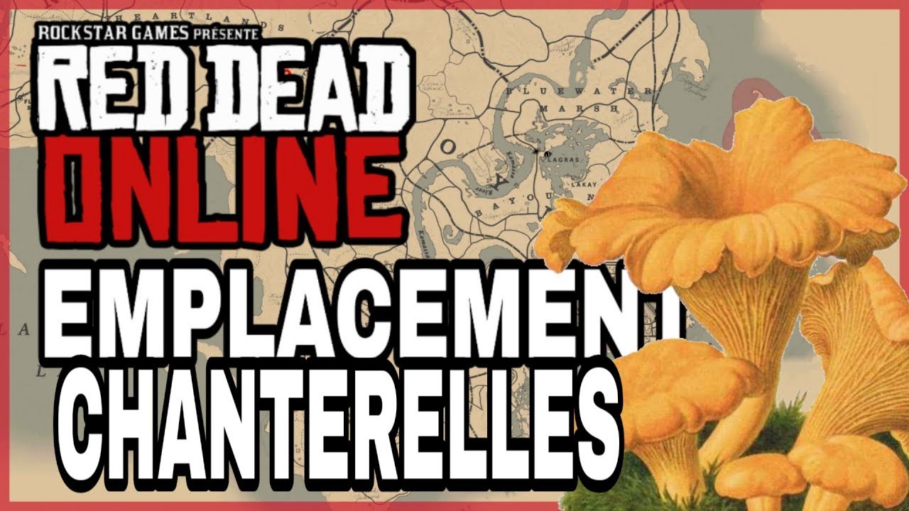 OU TROUVER DES CHANTERELLES [RED DEAD ONLINE] YouTube