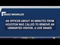 Texas officer wrangles live snake!