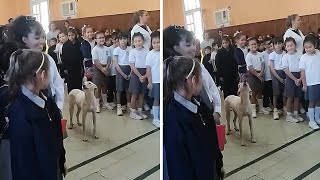 Loud pup proudly sings the verses of the Argentine National Anthem #shorts