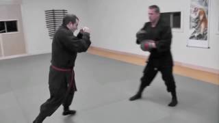 combative concepts-Frank THE HITMAN Imparato