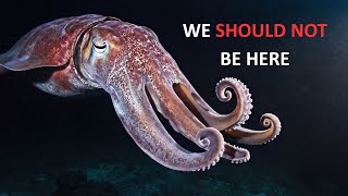 what Really Happened  11,000 Meters Beneath the Ocean? | Deep Sea Documentary | Mariana Trench| fear