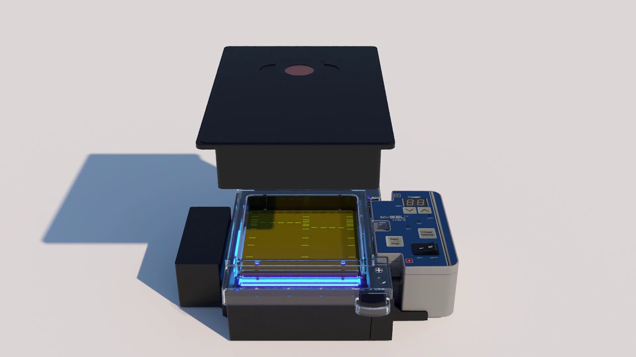 Benchmark Scientific E1101 myGel Mini Electrophoresis System, Includes gel  box, power supply, 1 System/Unit