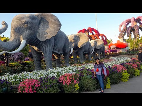 Picture View Dubai Miracle Garden  //Cristy's life OfW