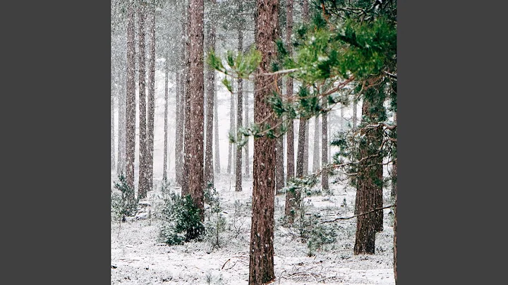 Cold winter