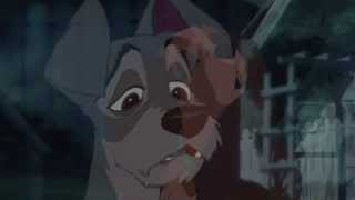 Disney AMV - Who's That Girl