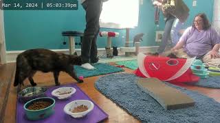 Kitkat Playroom: Video Footage with Jen by Kitkat Playroom 474 views 1 month ago 19 minutes