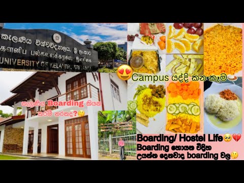 Boarding/Hostel ජීවිතේ කියන තරම් සුන්දරද?🤔 කැම්පස් ගියාම කන බොන දේවල්🍛