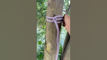 Brilliant…Hard to UNtie! #rope #shorts