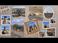Great hunt for Eland, Gemsbuck, Blue Wildebeest and more