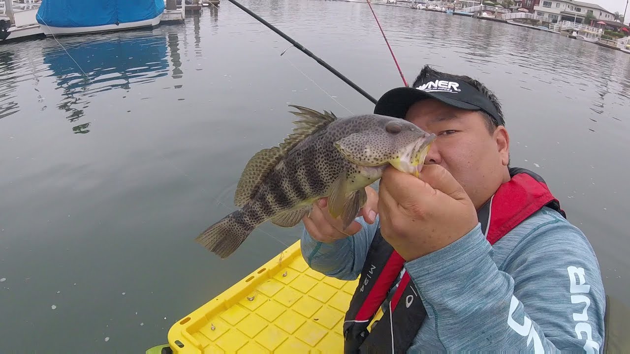 Cumberland Float Tube Fishing In Alamitos Bay YouTube