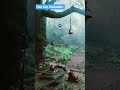 वो सुकून है मेरे महाकाल के दरबार में। क्या करूं मैं अमीर बनकर, मेरा महाकाल तो फकीर के दिल का दीवाना