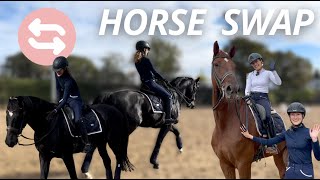 Cambio de caballo con Agueda Dressage | Horse Swap