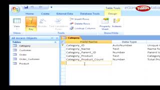 Adding New Fields || Microsoft Access Tutorial for Beginners || ACCESS  Presentation