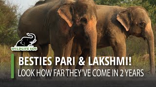 Besties Pari And Lakshmi Have Come A Long Way!