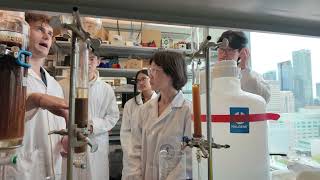Advanced MRI beyond diagnostics: imaging at the cellular level | Hai-Ling Margaret Cheng Lab