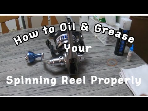 Easy Steps On How To Properly Oil & Grease Your Spinning Reel