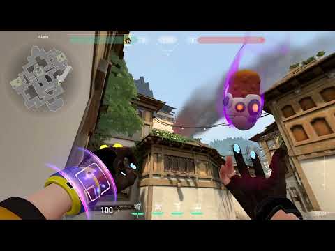 KJ Haven A Default Right Nanoswarm