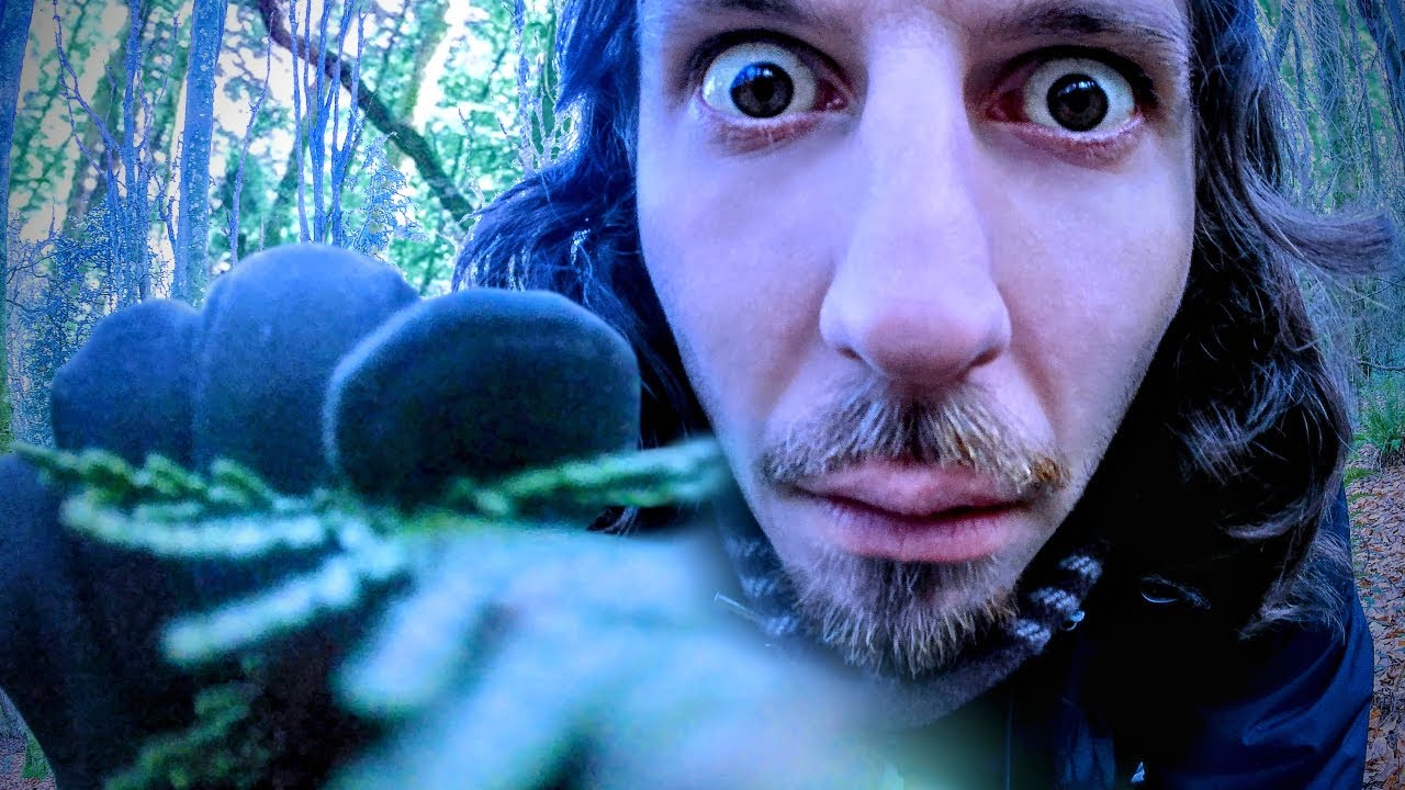 ASMR ❄️ OUTSIDE ❄️ WINTER IN THE WOODS 🥶 LITTLE CREATURE SLEEP ADVENTURE RANDOM TRIGGERS for TINGLES