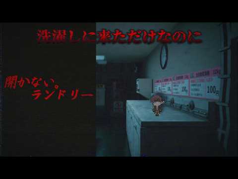 【開かない。ランドリー】海賊船長が初めてコインランドリー利用したら呪われた件について【ホラゲ実況】