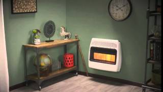 Dyna-Glo 30,000 BTU Liquid Propane Infrared Vent Free Wall Heater