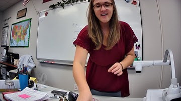 Galileo Pendulum Lab (conclusion)