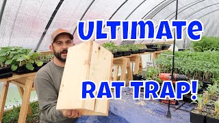 No More Rats!  Easy Homemade Rat Trap Resimi
