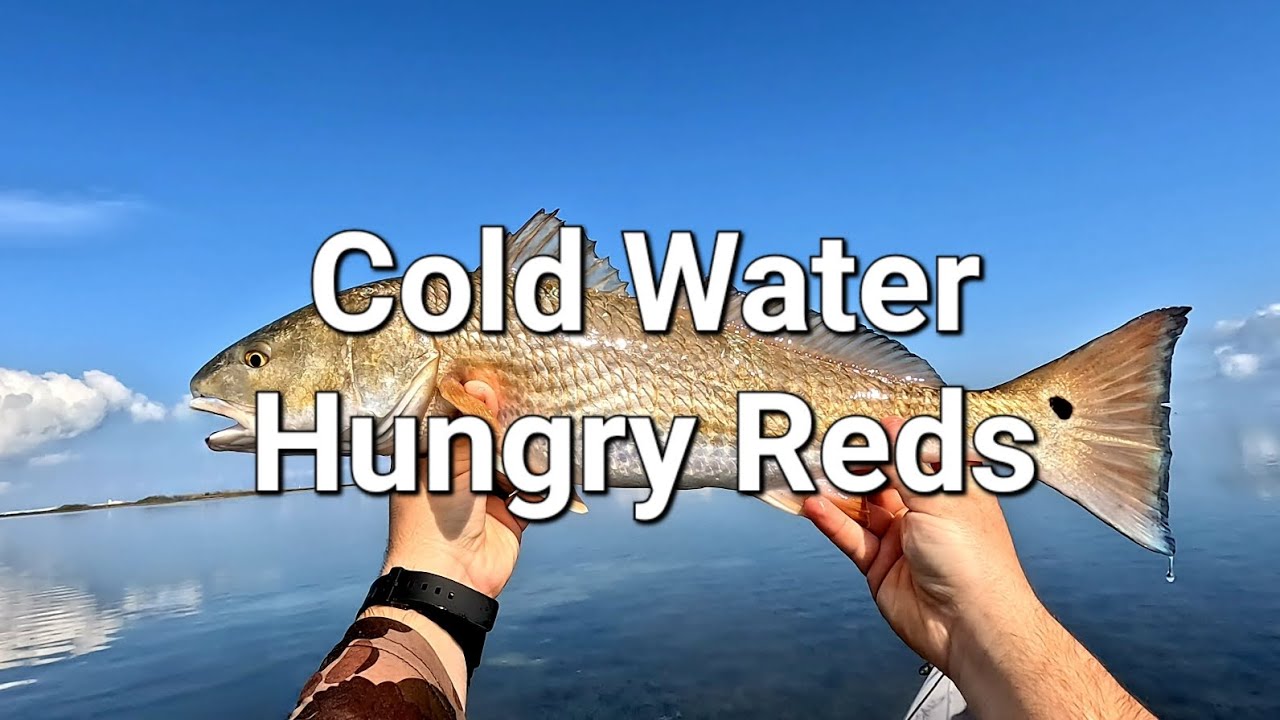 Cold Water Hungry Redfish | Texas Kayak Fishing 2026