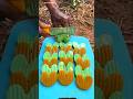 Survival Skills SMART Idea and USEFUL Making Handwash #bushcraft #camping #outdoors #usefulpart40