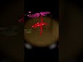 НАШЕЛ КОСЯК НА ПОЛУ! #stalcraftx #unturned #unturnedrp #stalker