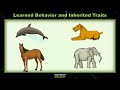 Inherited Traits and Learned Behaviors in Animals and Humans