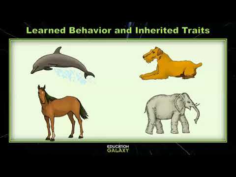 4th Grade - Science - Learned Behavior and Inherited Traits - Topic Overview