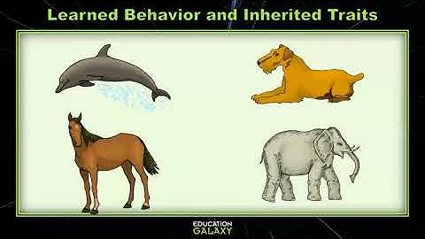 4th Grade - Science - Learned Behavior and Inherited Traits - Topic Overview