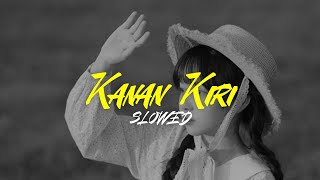 I Wanna Go X Kanan Kiri Remix (Rawi Beat) - Slowed Reverb