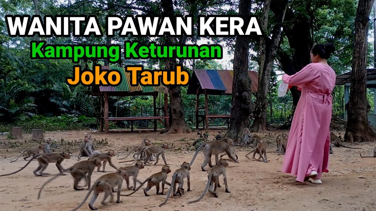 Keturunan Bidadari Nawangwulan Joko Tarub di Lokasi sendang mandi para Dewi di Tuban.