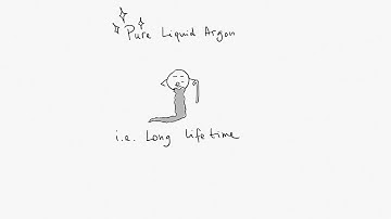 Purity Monitors for Liquid Argon