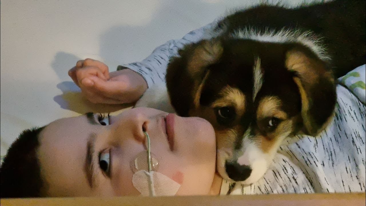 New addition to our family🐶How do my special needs sons react to a ...