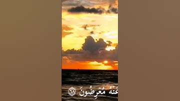 (وقالو مالنا لا نرو رجالا كنا نعدهم من الاشرار) القارئ منذر عادل