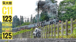 2026/07/23 首拍SL大樹/C11-123與MONKEY125