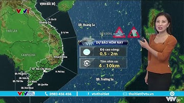 Cảnh báo mưa giông, lốc xoáy và gió giật trên nhiều vùng biển | VTVWDB