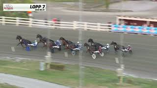 LOPP 7-2026-08-24