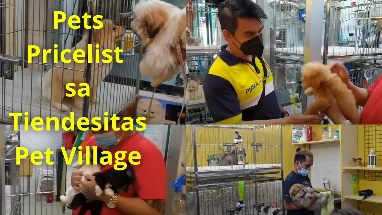 pets-pricelist-sa-tiendesitas-pet-village-youtube