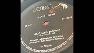 Silvio Cesar / Voce Sabe / 1979 / 7 inch - YouTube