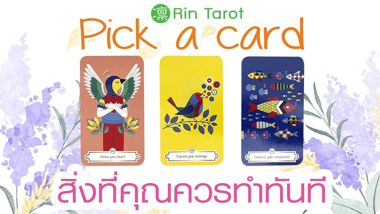 Pick a Card สิ่งที่คุณควรทำทันที เพื่อแก้ปัญหาเฉพาะหน้า และผลที่จะได้รับหากลงมือทำ
