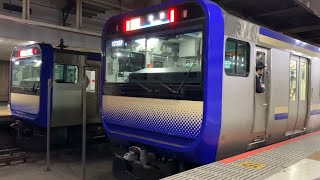 JR東京駅横須賀線•総武快速線地下ホームの電車。(12)